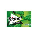 TRIDENT Pastilhas Elásticas Senses Rainforest Spearmint 23 g