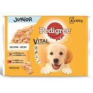 PEDIGREE Alimento de Cão Húmido Junior 4x100 g
