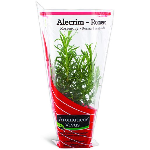 AROMÁTICAS VIVAS Alecrim em Vaso 1 Un AROMÁTICAS VIVAS Alecrim em Vaso 1 Un