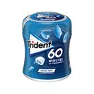 TRIDENT Pastilhas 60 Minutos Peppermint Bottle 68,2 g TRIDENT Pastilhas 60 Minutos Peppermint Bottle 68,2 g