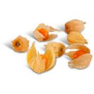 Fisális Embalado 100 g