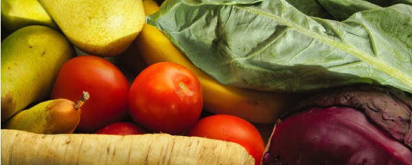 Equilíbrio e Bio.jpg